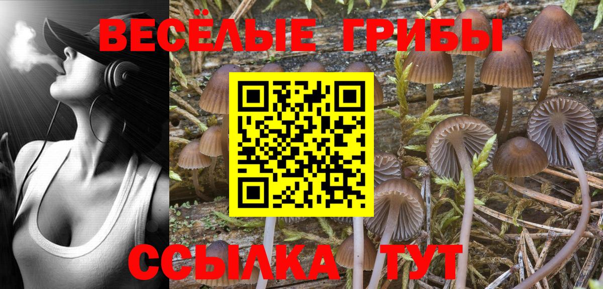 Галлюциногенные грибы MAGIC MUSHROOMS Севастополь