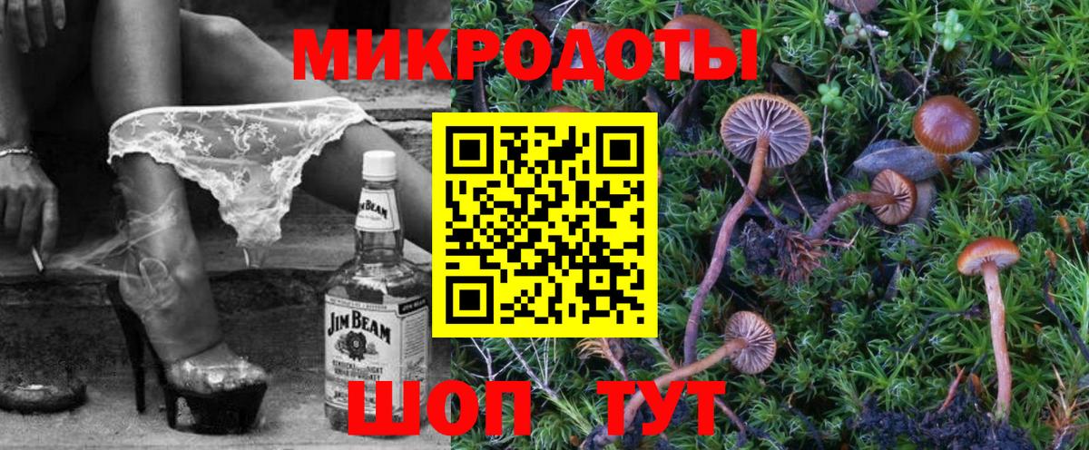 Севастополь  Псилоцибиновые грибы Psilocybe  Вход с VPN 